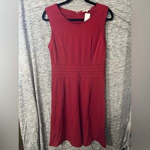 Soft Fitted Dress